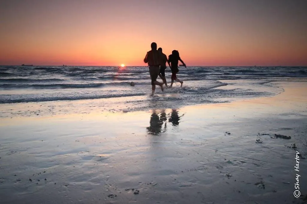 Exclusive One Bedroom Apartment On The Beach Haifa